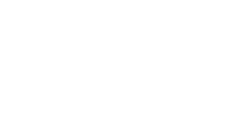 logo David Jones