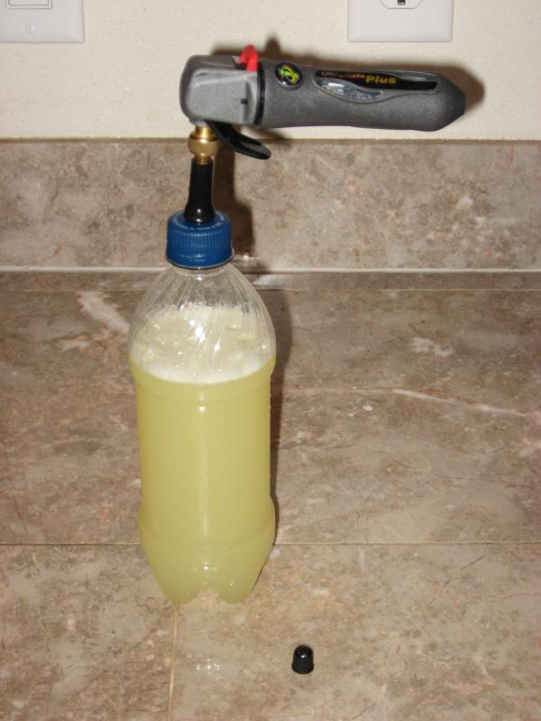 How To Make Your Own Home Carbonation System (For DIY Ginger Beer)