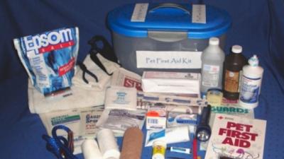 Your Pet Deserves A First Aid Kit