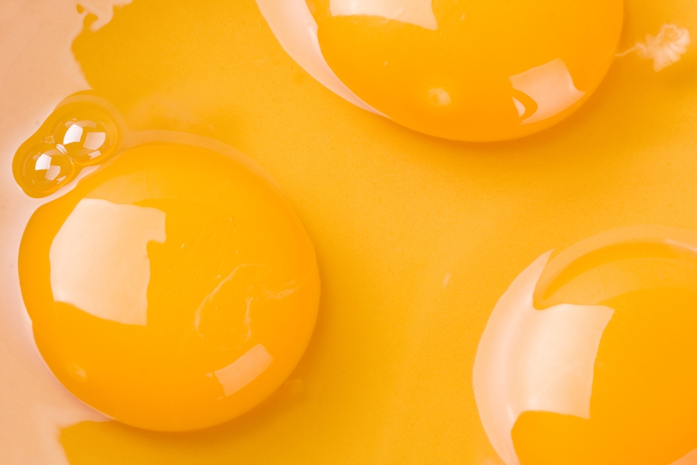 egg yolk separate