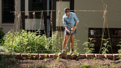 Grow A Bean Garden With A DIY Trellis