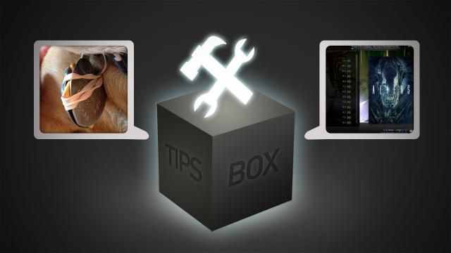 From The Tips Box: Noisy Dog Tags, Broken XBMC Libraries