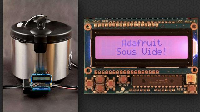 Turn Your Rice Cooker Into An Arduino-Powered, DIY Sous Vide Machine