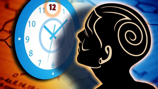 How Your Brain Perceives Time (And How To Use It To Your Advantage)