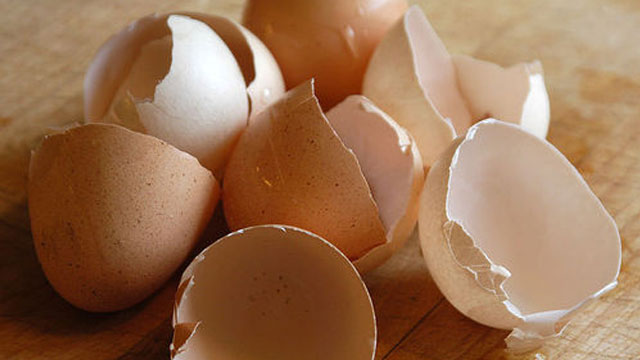 Keep Pests Out Of Your Garden With Egg Shells
