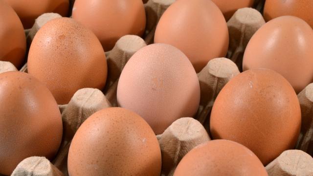 How to Tell If Your Eggs Have Gone Bad