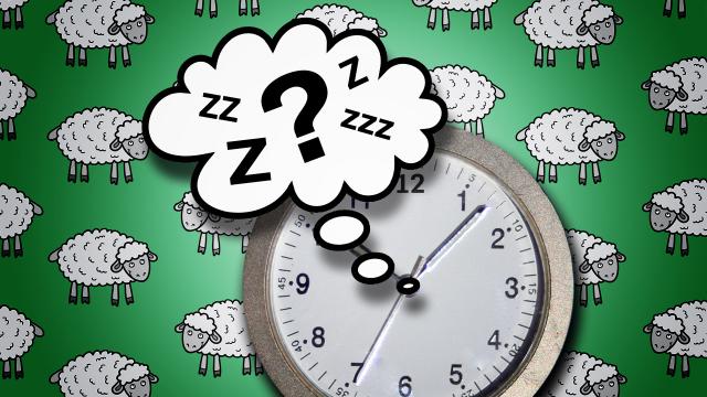 How Much Sleep Do You Get Each Night?