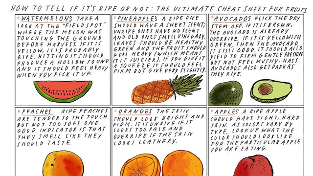 Give Most Fruits The Sniff Test To See If They’re Ripe Or Not