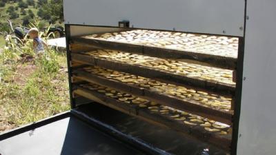 Dry Fruit Using The Power Of The Sun