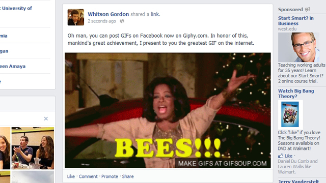 Giphy Embeds GIFs On Facebook, Is Mankind’s Greatest Achievement