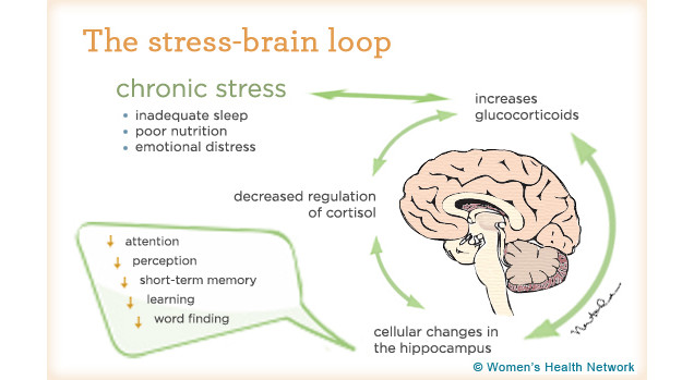 How Stress Breaks Down Your Mind And Body (And How To Fight Back)