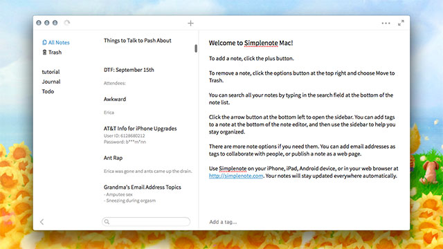 Simplenote Brings Excellent Synchronised Plain Text Notes To The Mac