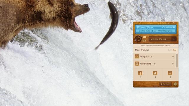 TunnelBear Adds Privacy Protection, Always On Security For PC And Mac