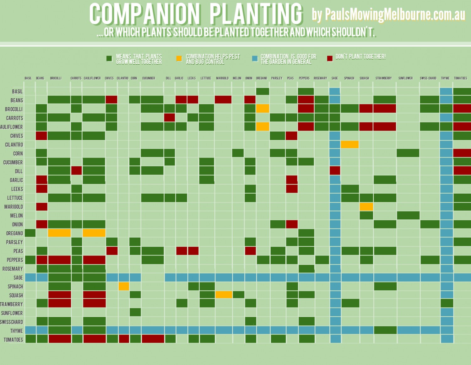 This Chart Shows Which Plants Grow Well Together (And Which Don’t)