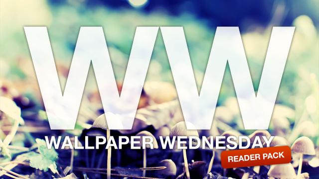 Weekly Wallpaper: Reader Wallpaper Pack 9.0