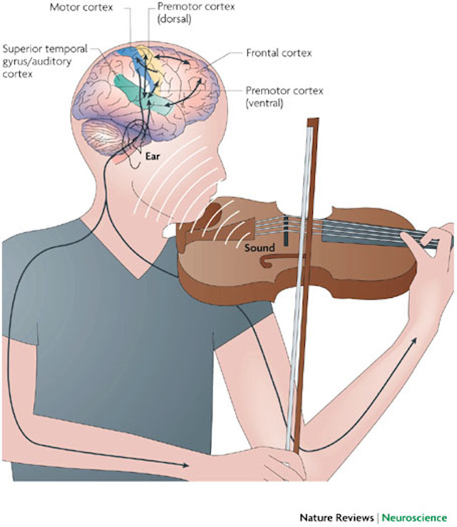 How Music Affects And Benefits Your Brain