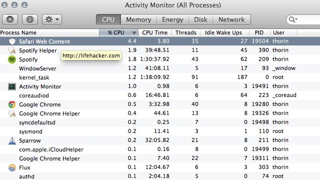 See Which Safari Tabs Hog System Resources With Activity Monitor