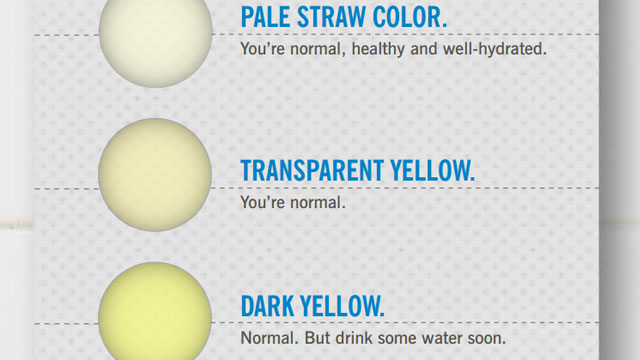 This Urine Color Chart Explains How to Read Your Pee