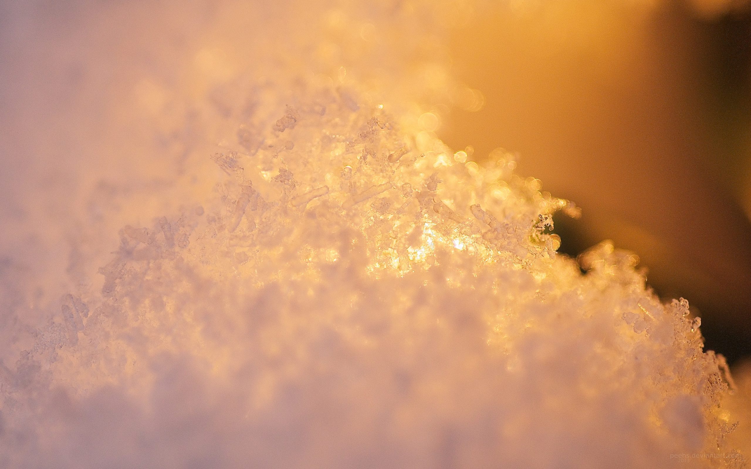 Weekly Wallpaper: Get Extra Close With These Macro Photos