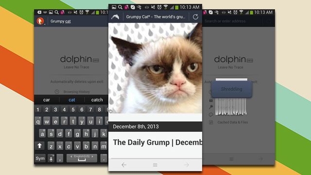 Dolphin Zero Is An Entire Browser Devoted To Privacy