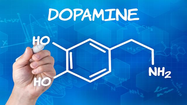 How To Harness Your Brain’s Dopamine Supply And Increase Motivation