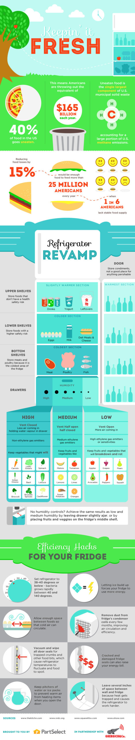 This Infographic Shows You How To Organise Your Fridge