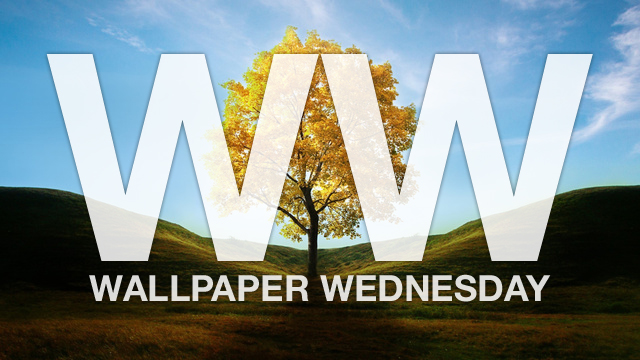 Weekly Wallpaper: Put These Solitary Trees Front And Centre