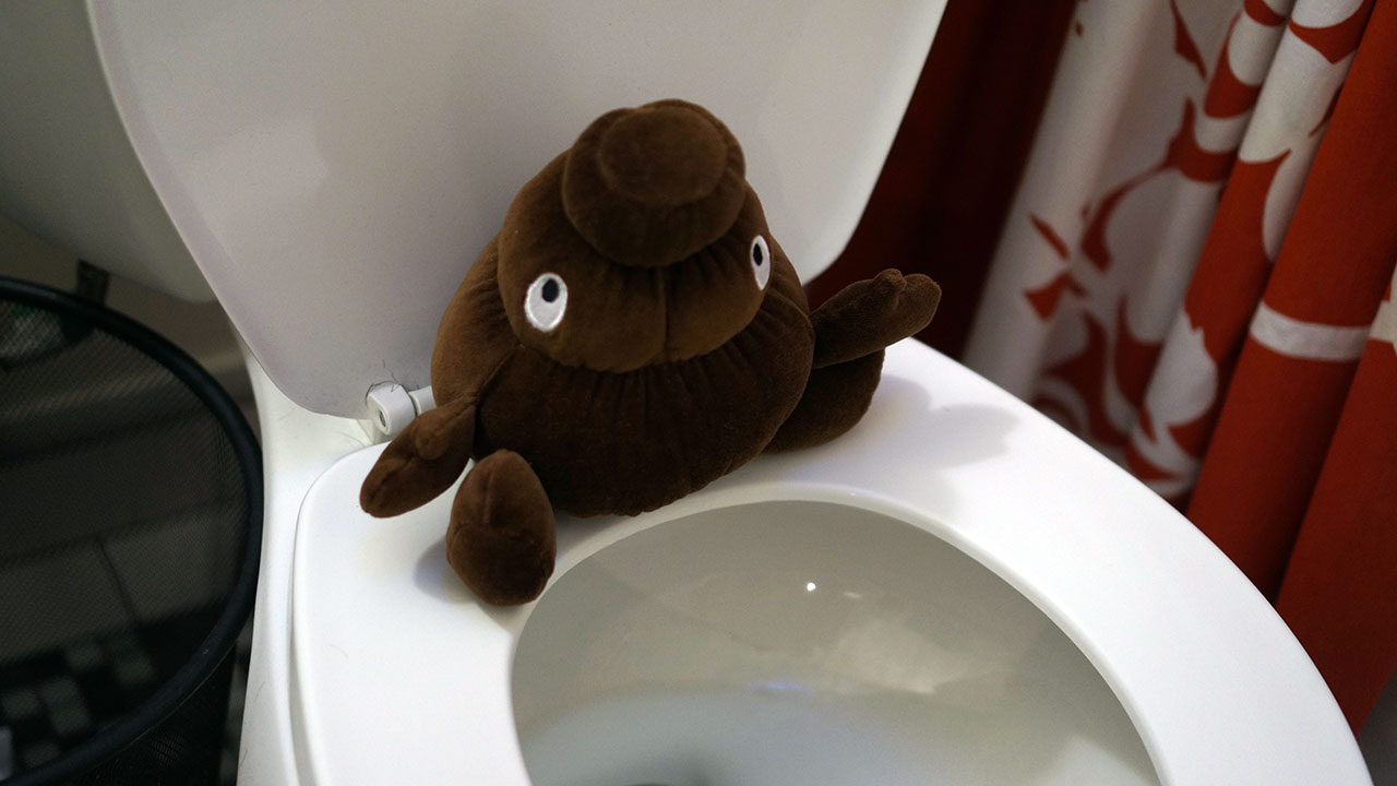 Ask LH: What Does The Shape And Colour Of My Poop Mean?