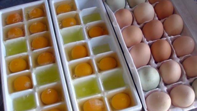 Freeze Eggs In Ice Cube Trays To Preserve Them Longer