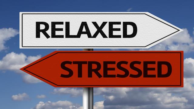 The Busy Person’s Guide To Reducing Stress
