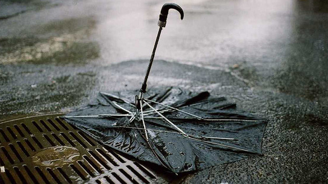 Why Umbrellas Break (And What To Look For In A Good One)