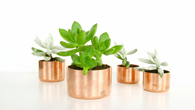 Turn Copper Pipes And Cap Fittings Into Decorative Planters