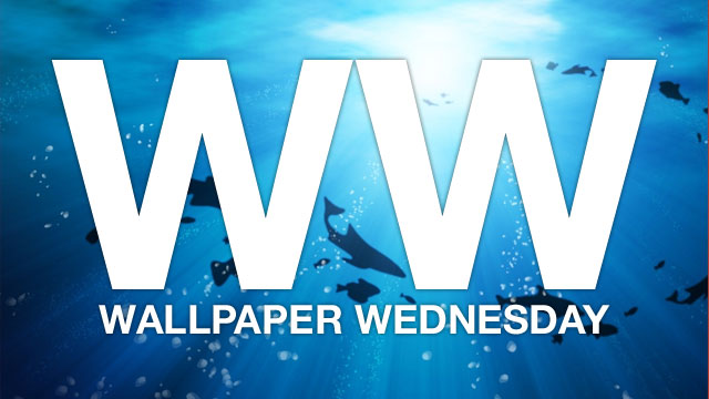 Weekly Wallpaper: Dive Under The Sea