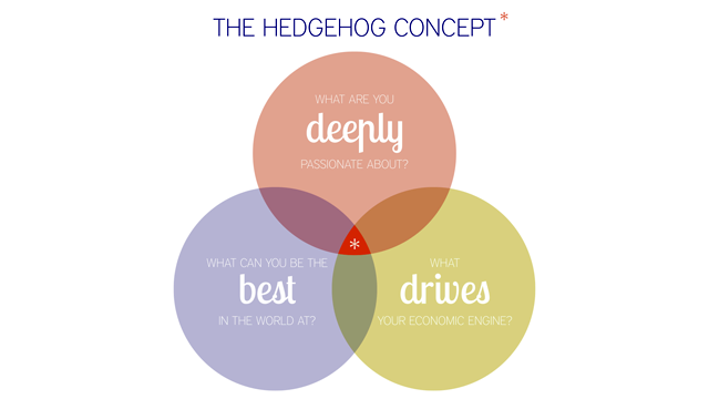 Find The Right Career With The Hedgehog Concept