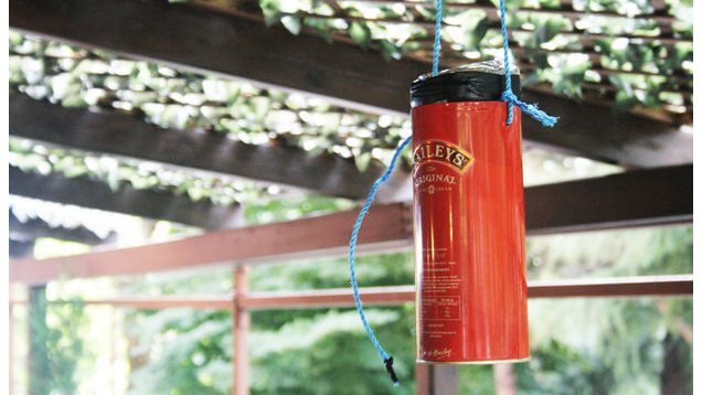 Keep Mosquitoes At Bay With This Plastic Bottle Trap