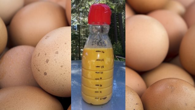 Store Pre-Scrambled Eggs In A Bottle For No-Mess Camping Food