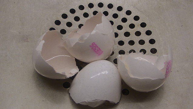 Whiten Laundry With Egg Shells