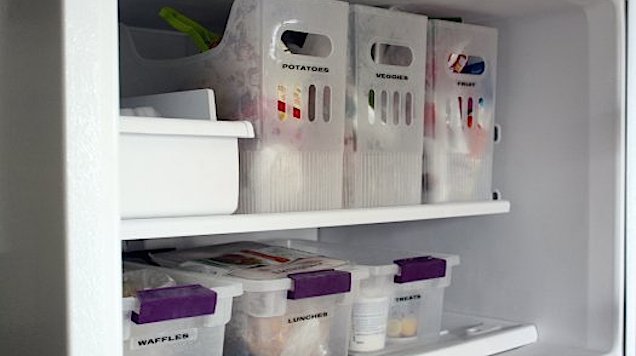 Organise Freezer Foods Into Containers To Keep Things Tidy