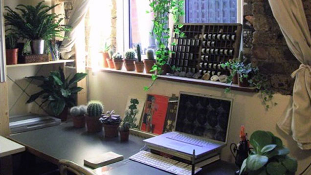 The Green Thumb Workspace