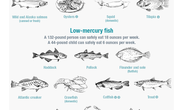 Know Which Fish Are Low In Mercury With This Chart