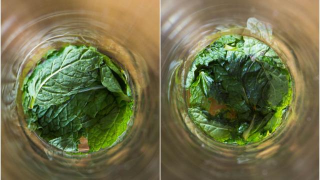 The Best Way To Muddle Mint And Make Eggs Foam (And Other Cocktail Tricks)