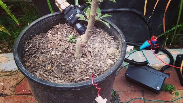 Make A Programmable Irrigation Controller With A Raspberry Pi