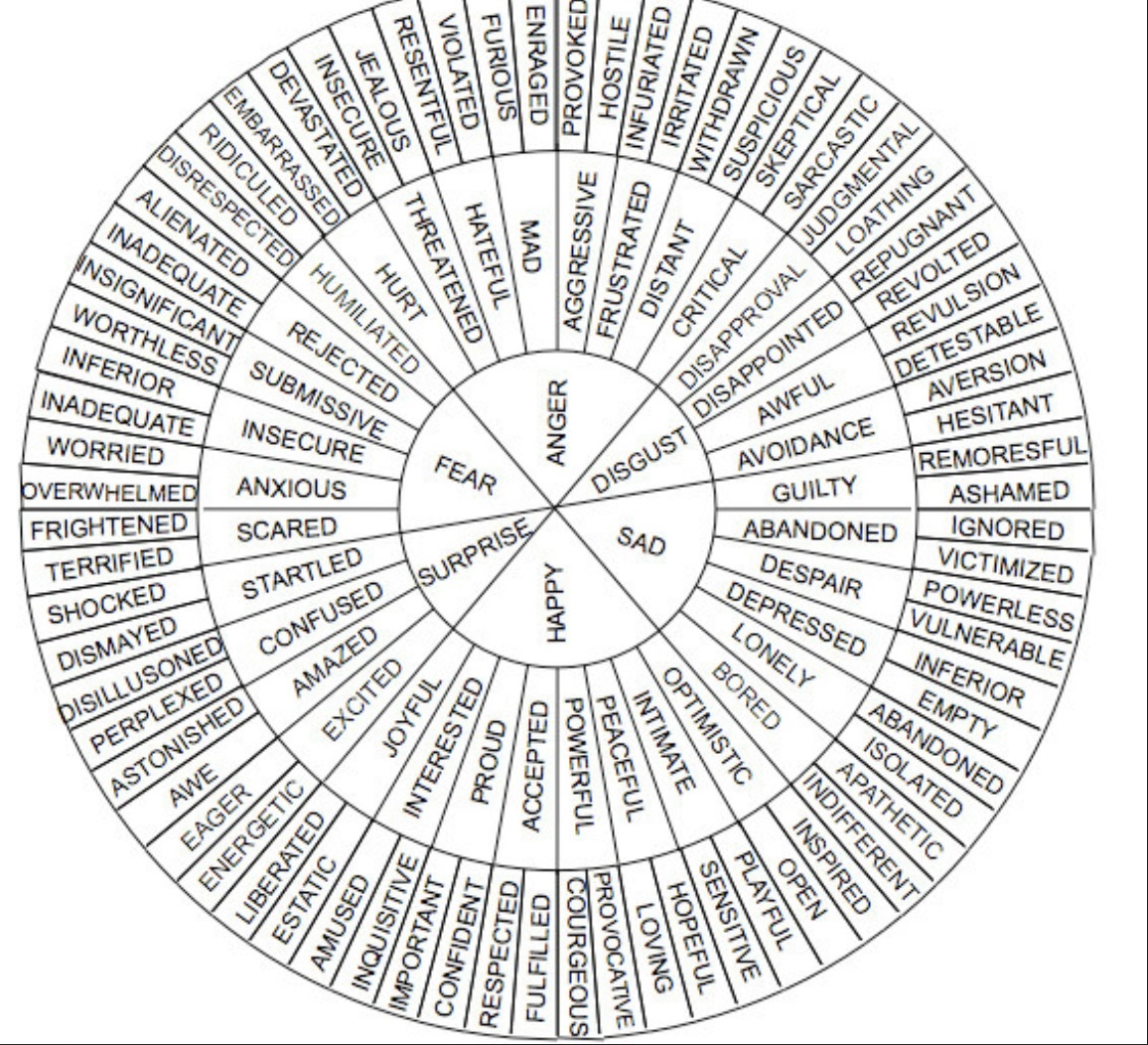 Find The Perfect Word For Your Feelings With This Vocabulary Wheel