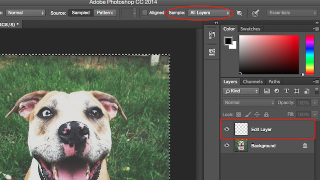 Make Photoshop Edits In Empty Layers Instead Of Existing Ones