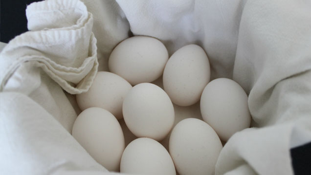 Top 10 Better Ways To Cook Eggs