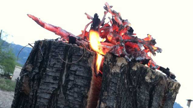 Make A ‘Swedish Torch’ Campfire With A Single Log