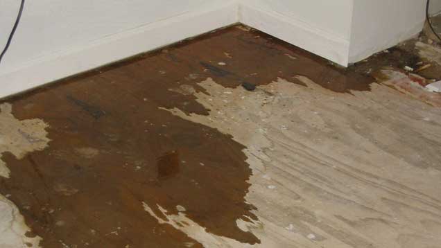 How To Quickly Assess And Recover From An Indoor Flood