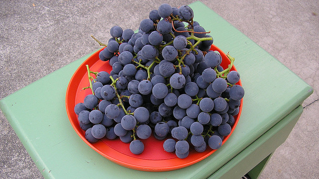 Wash Grapes Quickly With Bicarb Soda And Salt 