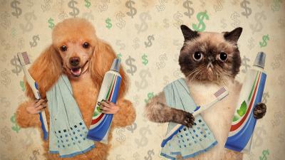 How Do You Save Money On Pet Care? 