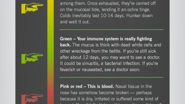 What It Means When Your Snot Is Green
